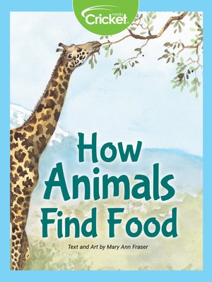 cover image of How Animals Find Food